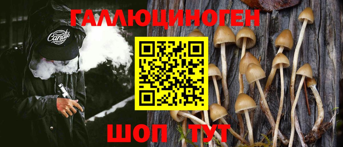 Галлюциногенные грибы MAGIC MUSHROOMS Моршанск